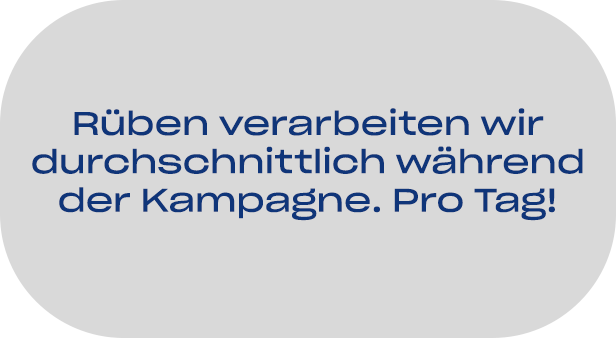 03-pfeifer-und-langen-standortfakten-glinojeck-gruendung-2x
