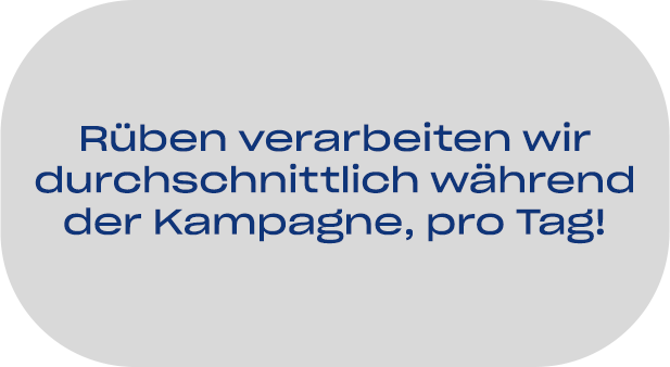 08-pfeifer-und-langen-standortfakten-gostyn-zuckerproduktion-02-2x