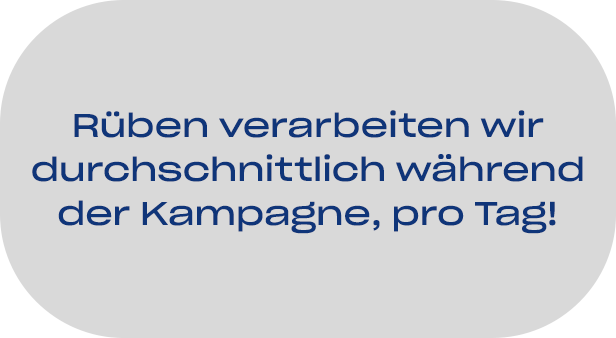 05-pfeifer-und-langen-standortfakten-miejska-gorka-zuckerproduktion-02-2x