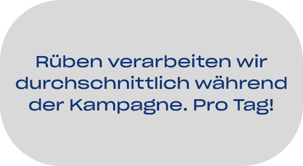 05-pfeifer-und-langen-standortfakten-sroda-zuckerproduktion-02-2x