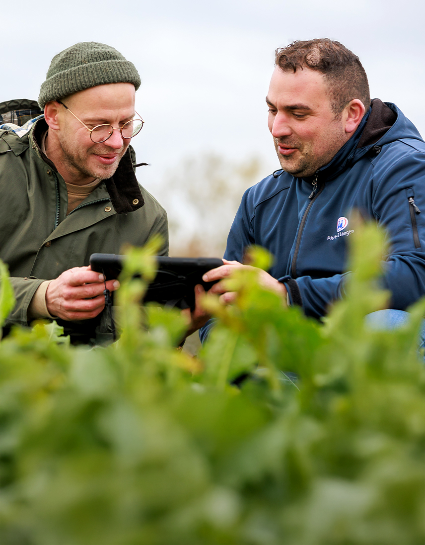 pfeifer-und-langen-landwirtschaft-partnerschaft-mobile-2x
