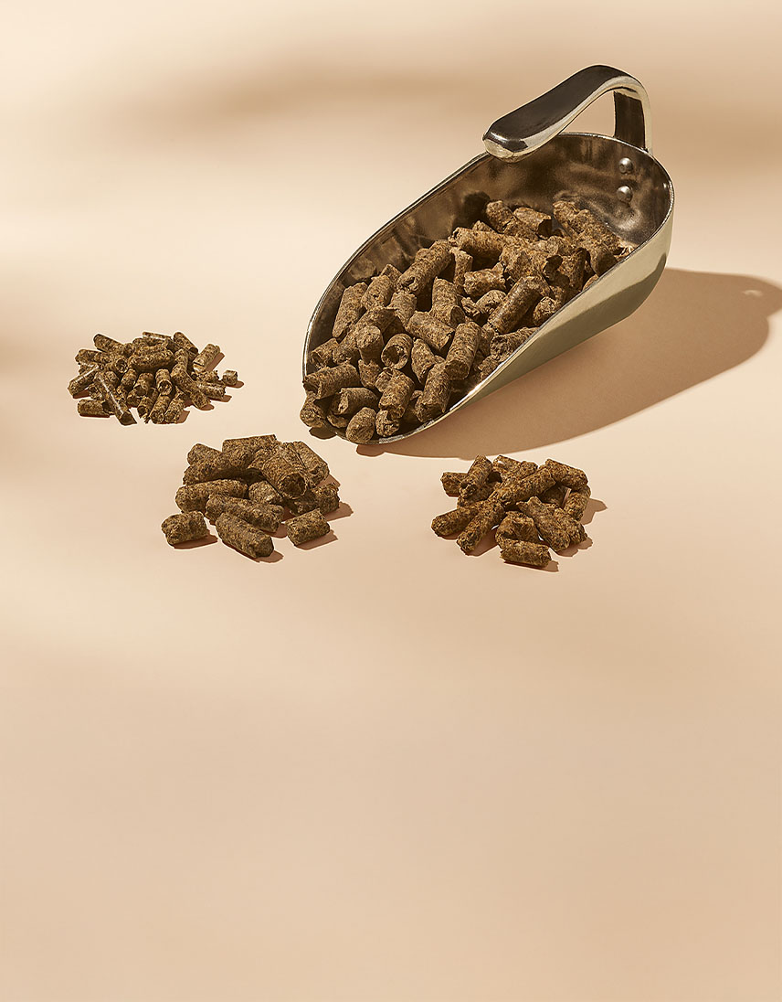 pfeifer-und-langen-produkte-futtermittelindustrie-betapur-pellets-2x