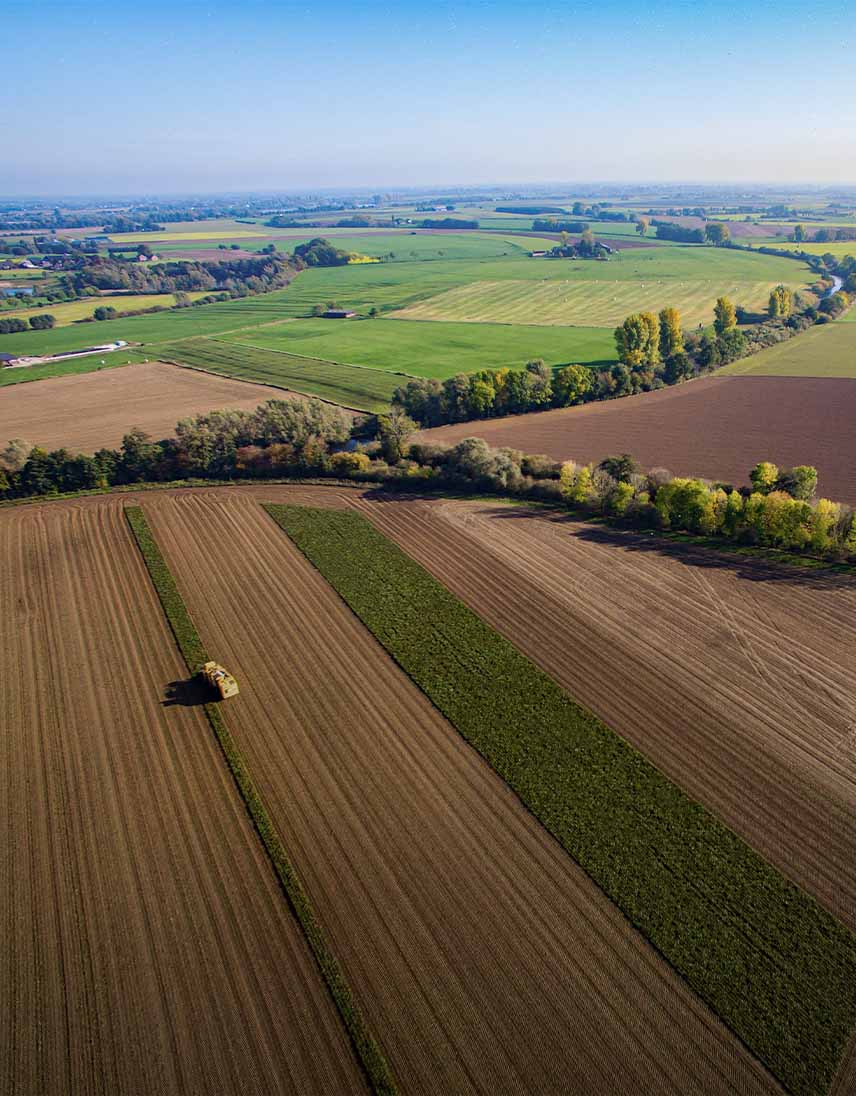 pfeifer-und-langen-nachhaltigkeit-klima-und-unwelt-klimaschutzstrategie-2x