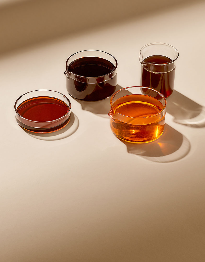 pfeifer-und-langen-produkte-nahrungsmittelindustrie-karamellzuckersirupe-2x