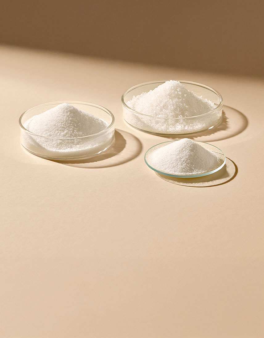 pfeifer-und-langen-produkte-nahrungsmittelindustrie-kristallzucker-food-2x