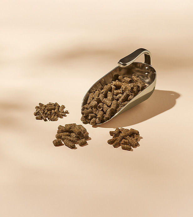 pfeifer-und-langen-produkte-futtermittelindustrie-betapur-pellets-2x