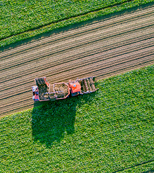 pfeifer-und-langen-landwirtschaft-ruebenjahr-07-2x