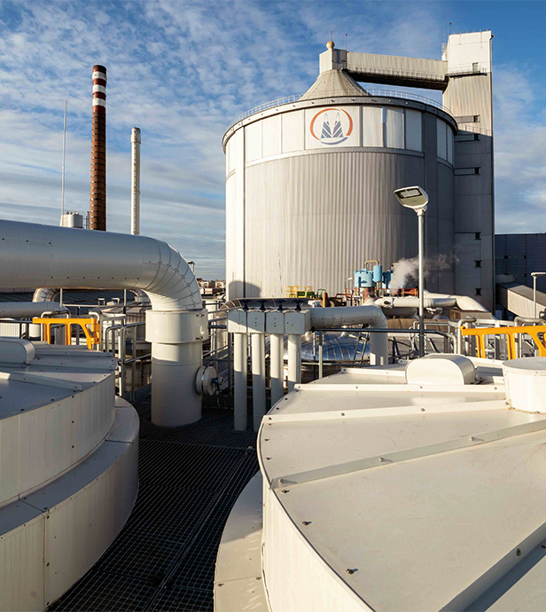 pfeifer-und-langen-nachhaltigkeit-klimaschutzstrategie-sroda-gruene-energie-2x
