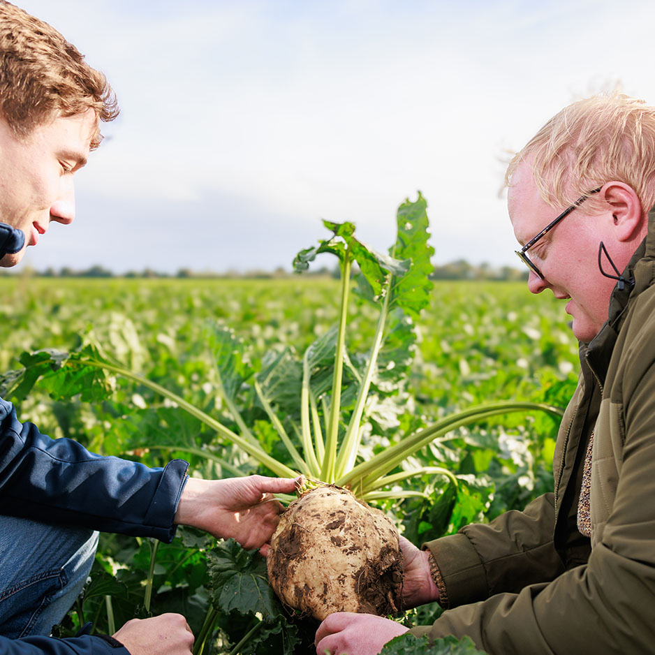 pfeifer-und-langen-karriere-berufsfeld-landwirtschaft-2x
