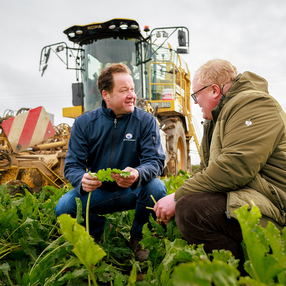 pfeifer-und-langen-landwirtschaft-partnerschaft-zuckerruebenanbau-2x