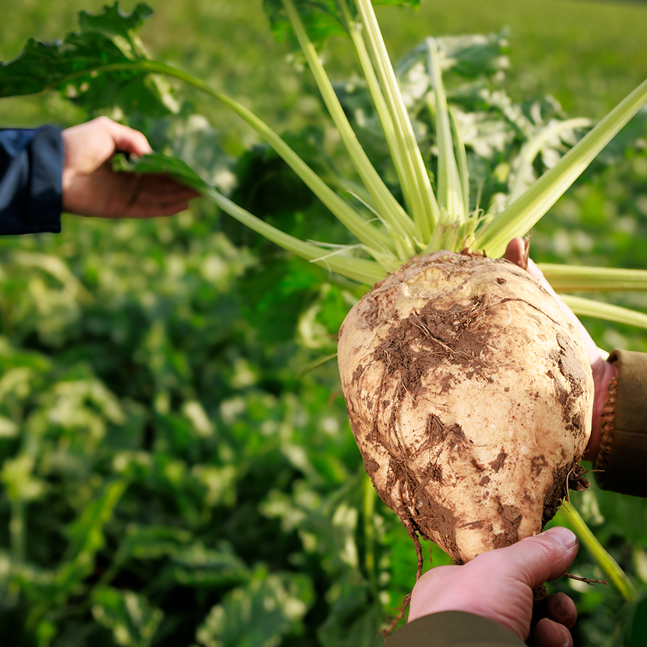 pfeifer-und-langen-landwirtschaftlich-partnerschaft-vertrauen-2x