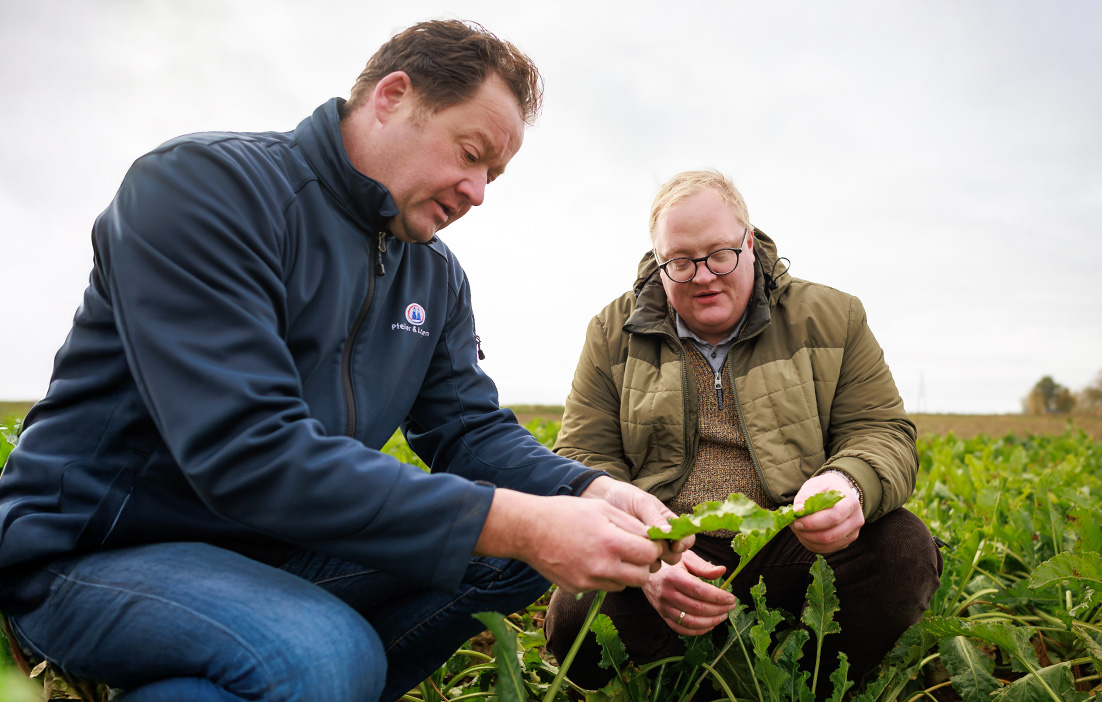 pfeifer-und-langen-landwirtschaft-ruebenjahr-2x