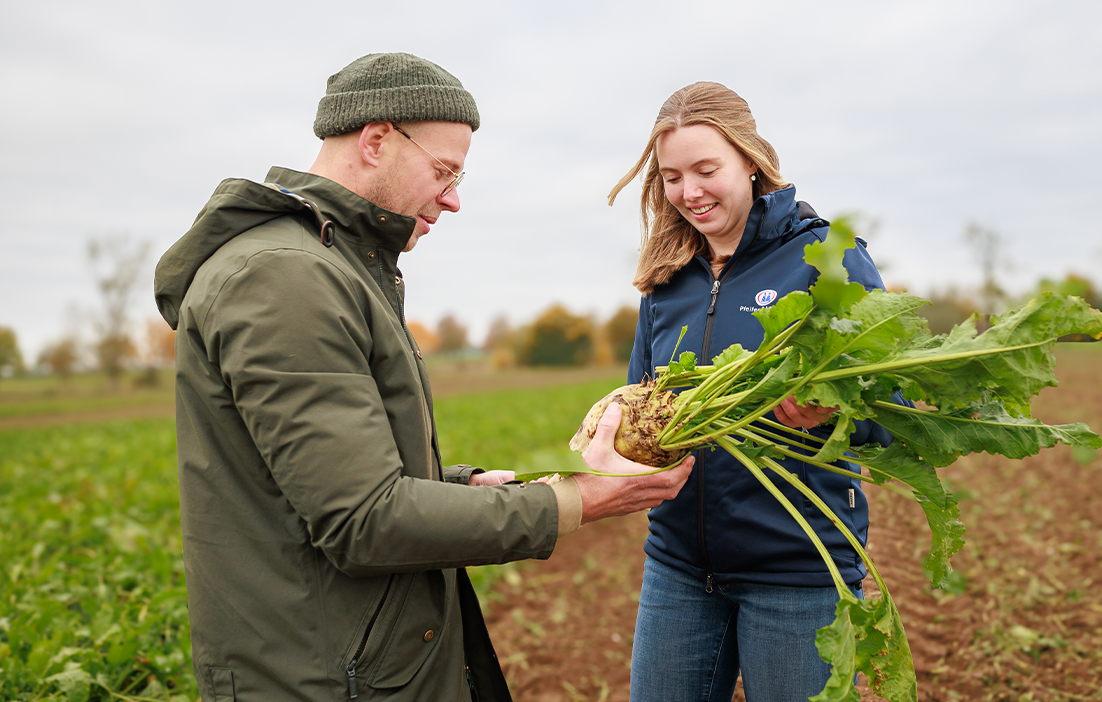 pfeifer-und-langen-landwirtschaft-ruebenjahr-2x