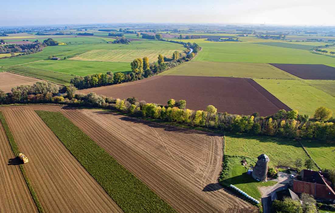 pfeifer-und-langen-nachhaltigkeit-klima-und-unwelt-klimaschutzstrategie-2x